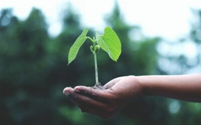 TIPS PARA SER MÁS ECOLÓGICO Y AMIGABLE CON EL PLANETA Y CONTIGO MISMO A LA HORA DE COMPRAR Y CONSUMIR: