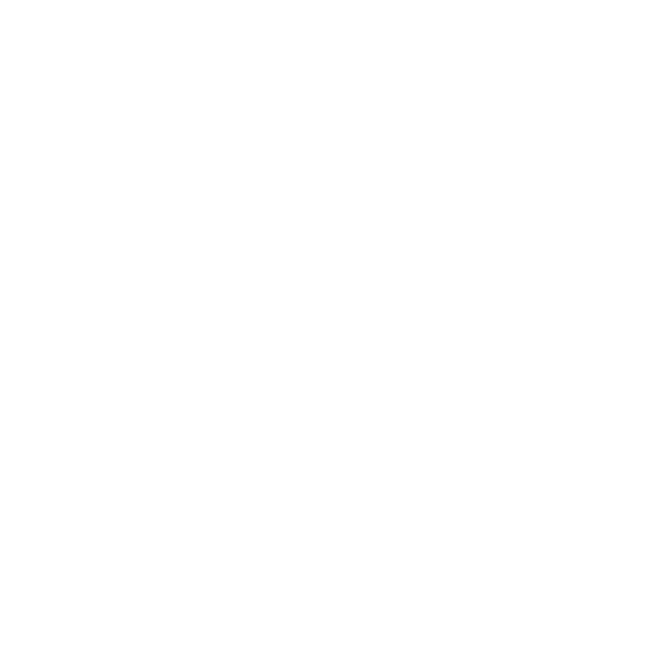 icosaedro